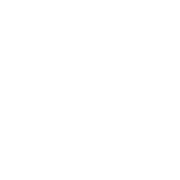 feature-icon
